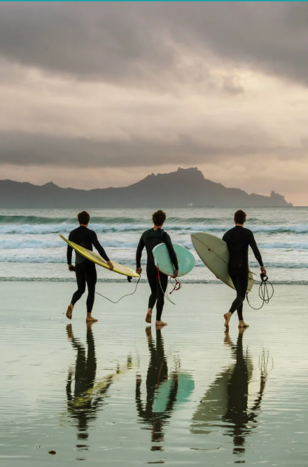 Screenshot 2026-02-19 at 2.33.03 PM