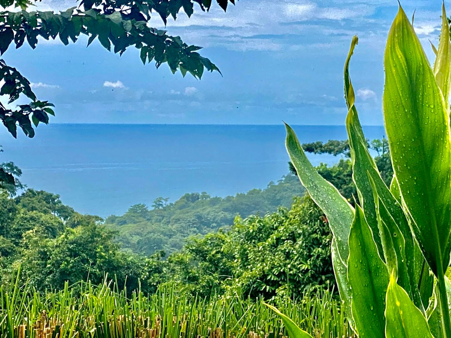 Casa Buho – Panoramic view at Santa Teresa, Costa Rica image 2