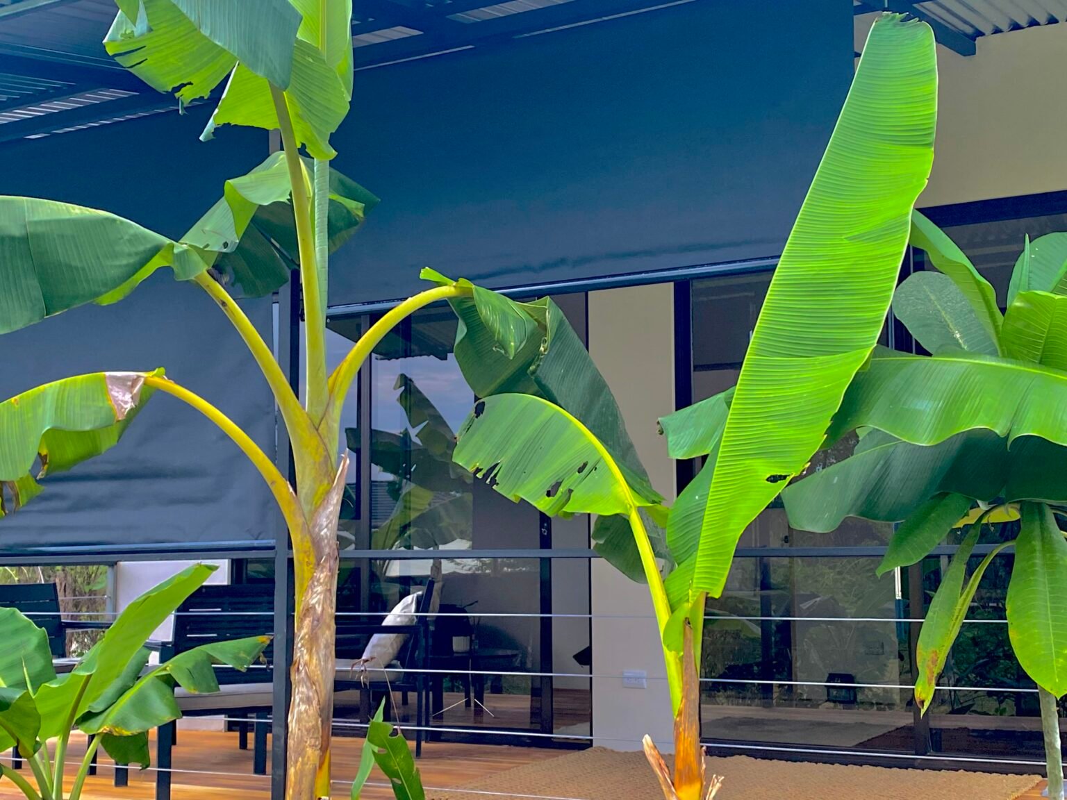 Modern 2-Bedroom House in a Quiet Area at Santa Teresa Beach image 1