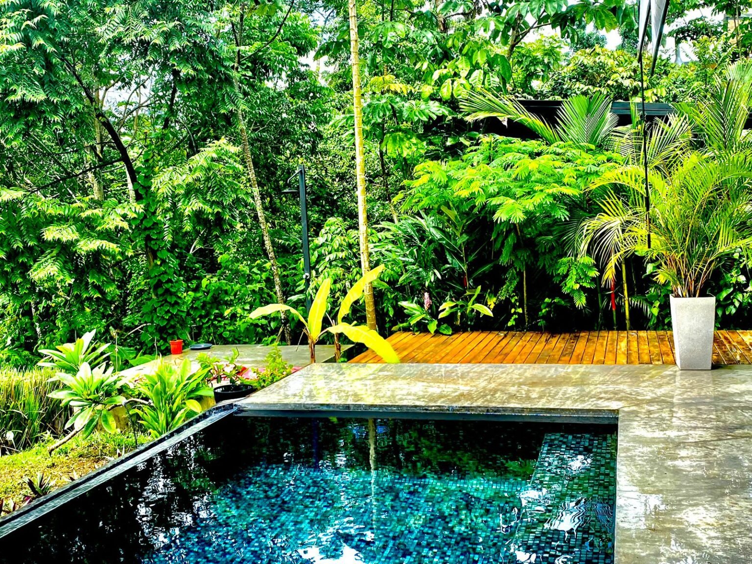 Modern casa Santa Teresa Beach ( 1 Main House + 1 luxury cabana ) image 2